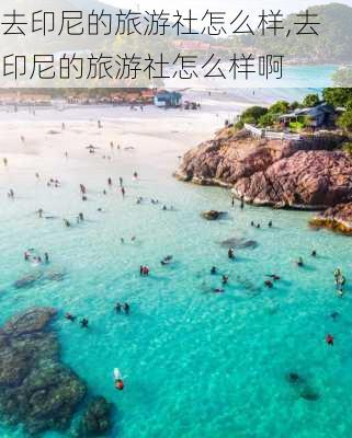 去印尼的旅游社怎么样,去印尼的旅游社怎么样啊