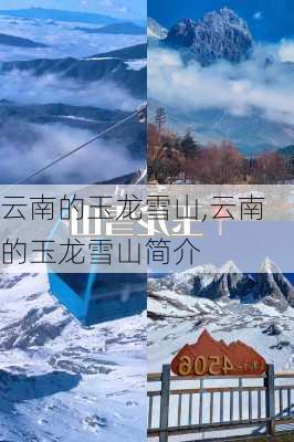 云南的玉龙雪山,云南的玉龙雪山简介