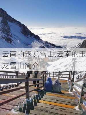 云南的玉龙雪山,云南的玉龙雪山简介