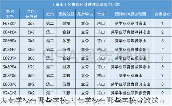 大专学校有哪些学校,大专学校有哪些学校分数线