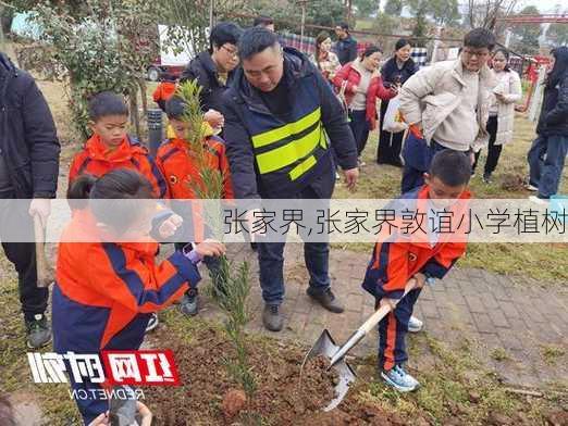 张家界,张家界敦谊小学植树