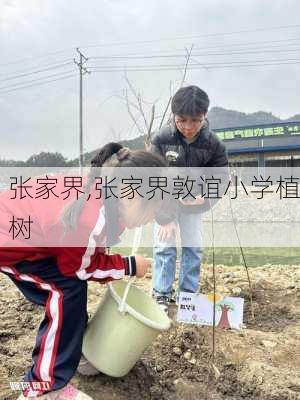 张家界,张家界敦谊小学植树