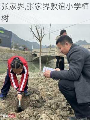 张家界,张家界敦谊小学植树