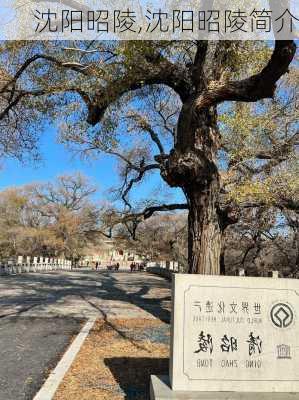 沈阳昭陵,沈阳昭陵简介