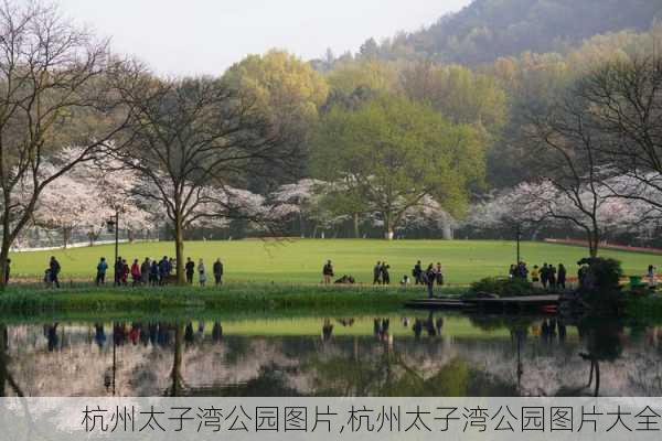 杭州太子湾公园图片,杭州太子湾公园图片大全