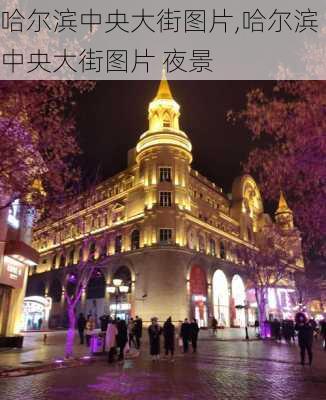 哈尔滨中央大街图片,哈尔滨中央大街图片 夜景