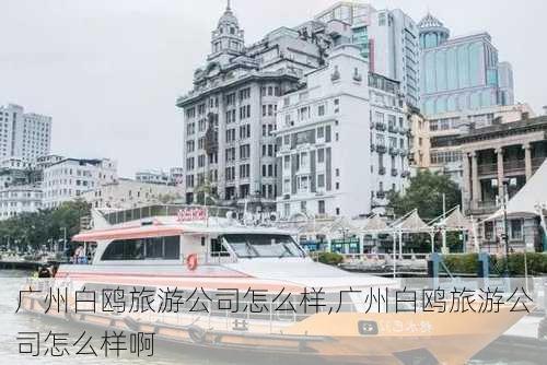 广州白鸥旅游公司怎么样,广州白鸥旅游公司怎么样啊