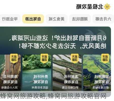 蜂窝网旅游攻略,蜂窝网旅游攻略官网