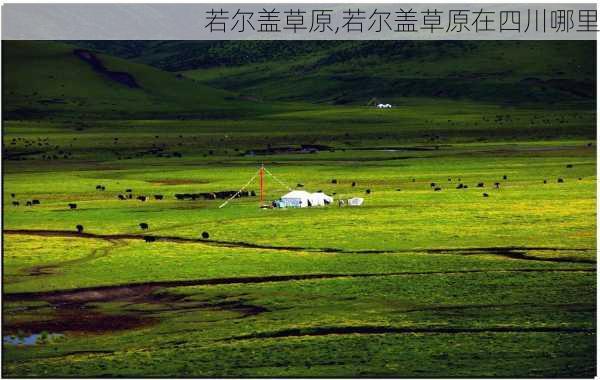 若尔盖草原,若尔盖草原在四川哪里