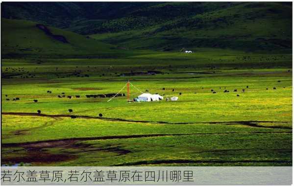 若尔盖草原,若尔盖草原在四川哪里