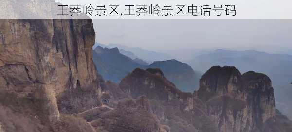 王莽岭景区,王莽岭景区电话号码