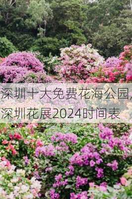 深圳十大免费花海公园,深圳花展2024时间表