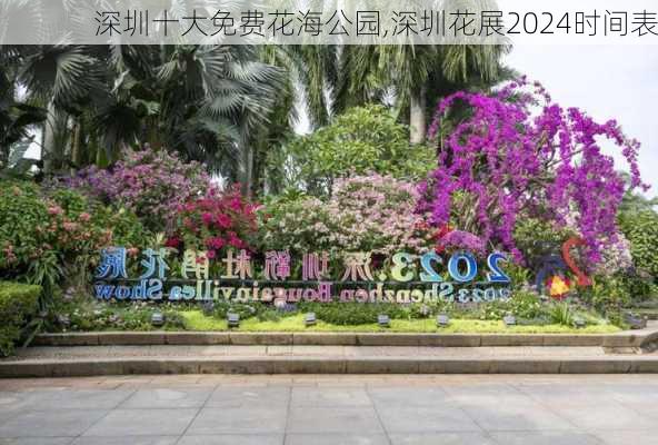 深圳十大免费花海公园,深圳花展2024时间表