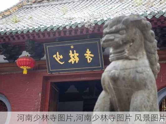 河南少林寺图片,河南少林寺图片 风景图片