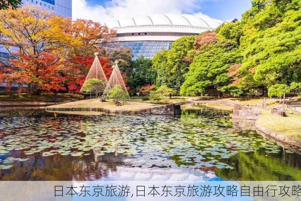 日本东京旅游,日本东京旅游攻略自由行攻略