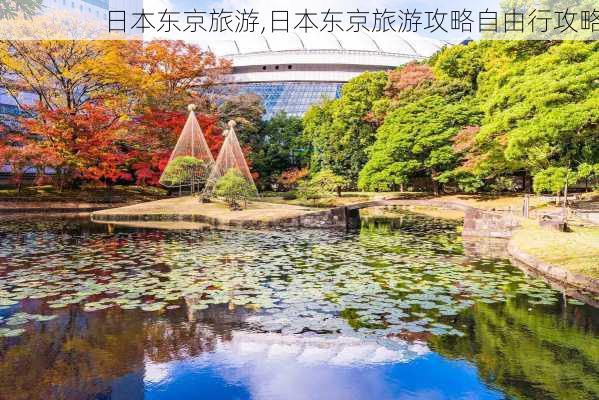 日本东京旅游,日本东京旅游攻略自由行攻略