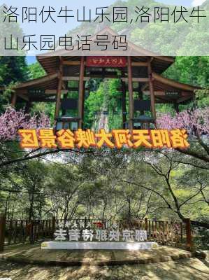 洛阳伏牛山乐园,洛阳伏牛山乐园电话号码