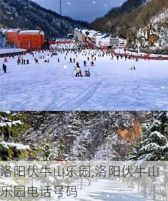 洛阳伏牛山乐园,洛阳伏牛山乐园电话号码