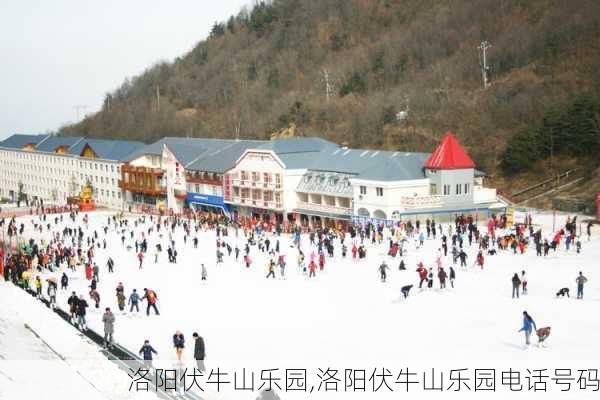 洛阳伏牛山乐园,洛阳伏牛山乐园电话号码