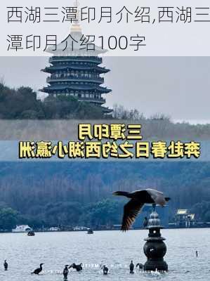 西湖三潭印月介绍,西湖三潭印月介绍100字