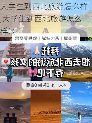 大学生到西北旅游怎么样,大学生到西北旅游怎么样啊