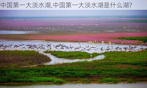 中国第一大淡水湖,中国第一大淡水湖是什么湖?