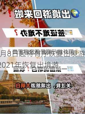 1月8日起将有序恢复出境游,2021年恢复出境游