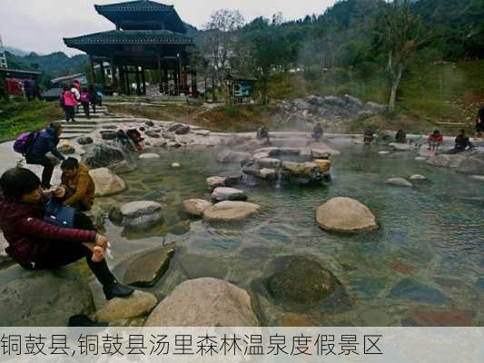 铜鼓县,铜鼓县汤里森林温泉度假景区