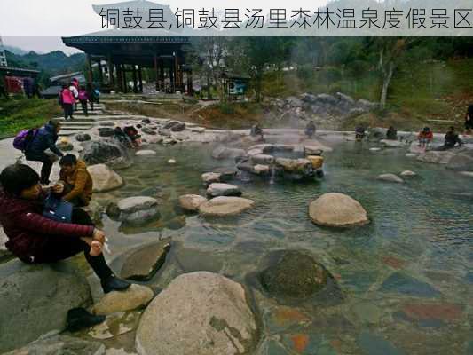 铜鼓县,铜鼓县汤里森林温泉度假景区