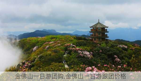 金佛山一日游团购,金佛山一日游跟团价格