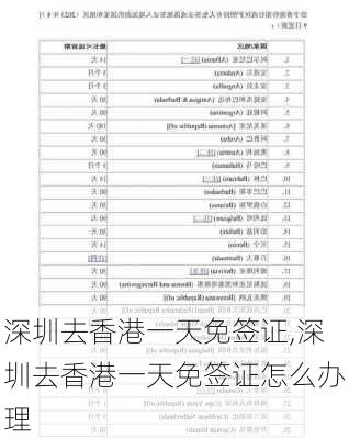 深圳去香港一天免签证,深圳去香港一天免签证怎么办理