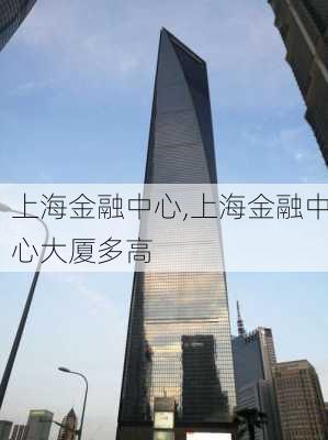 上海金融中心,上海金融中心大厦多高