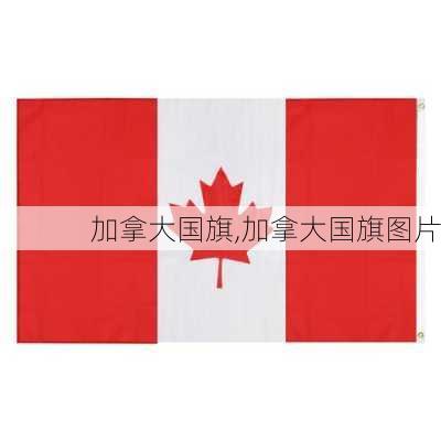 加拿大国旗,加拿大国旗图片