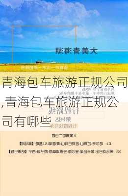 青海包车旅游正规公司,青海包车旅游正规公司有哪些