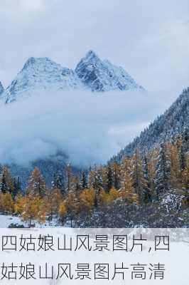 四姑娘山风景图片,四姑娘山风景图片高清