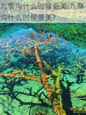 九寨沟什么时候最美,九寨沟什么时候最美?