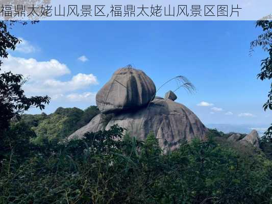 福鼎太姥山风景区,福鼎太姥山风景区图片