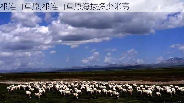 祁连山草原,祁连山草原海拔多少米高