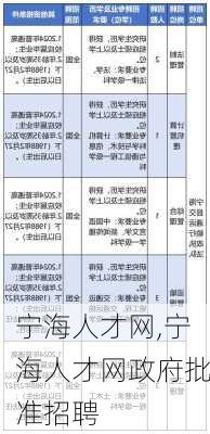 宁海人才网,宁海人才网政府批准招聘