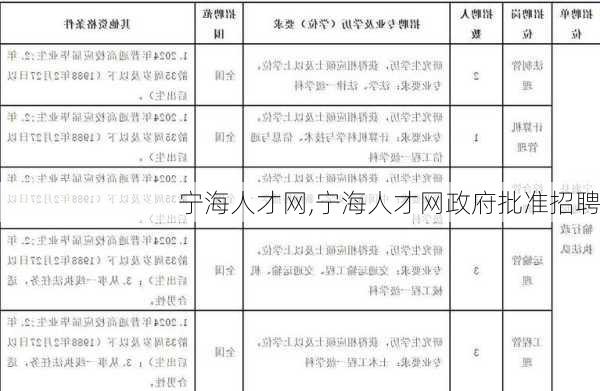 宁海人才网,宁海人才网政府批准招聘