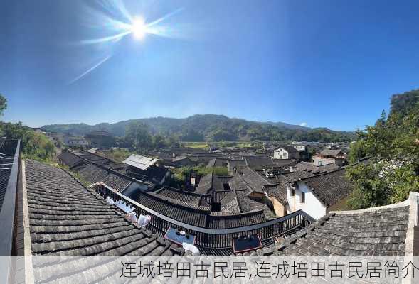 连城培田古民居,连城培田古民居简介