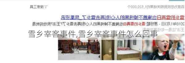 雪乡宰客事件,雪乡宰客事件怎么回事