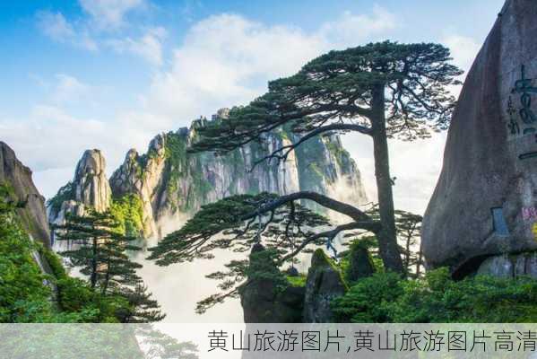 黄山旅游图片,黄山旅游图片高清