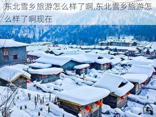 东北雪乡旅游怎么样了啊,东北雪乡旅游怎么样了啊现在