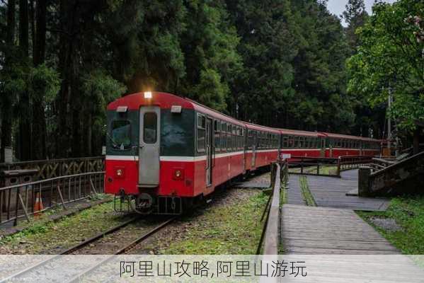 阿里山攻略,阿里山游玩