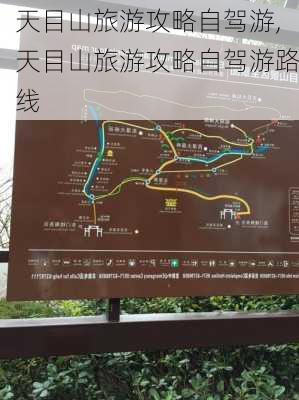 天目山旅游攻略自驾游,天目山旅游攻略自驾游路线