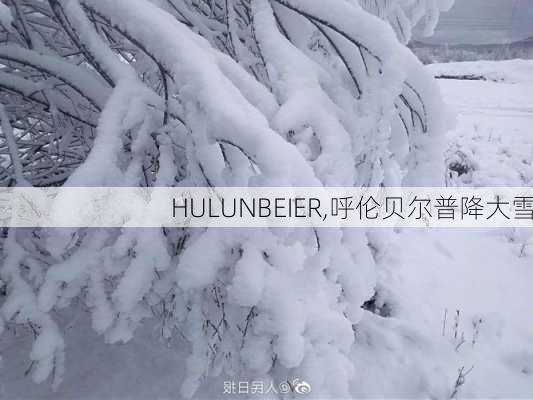 HULUNBEIER,呼伦贝尔普降大雪