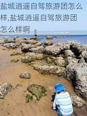 盐城逍遥自驾旅游团怎么样,盐城逍遥自驾旅游团怎么样啊