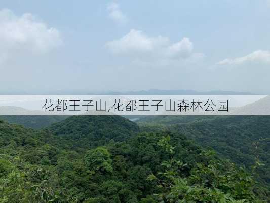 花都王子山,花都王子山森林公园