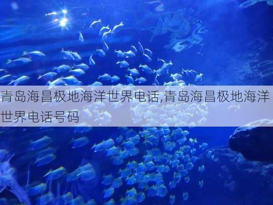 青岛海昌极地海洋世界电话,青岛海昌极地海洋世界电话号码